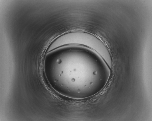 X0000116260193200912071029