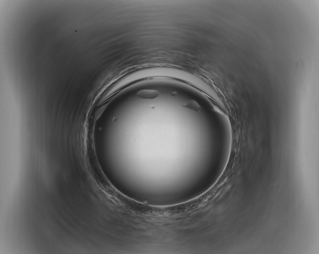 X0000116260194200912071029