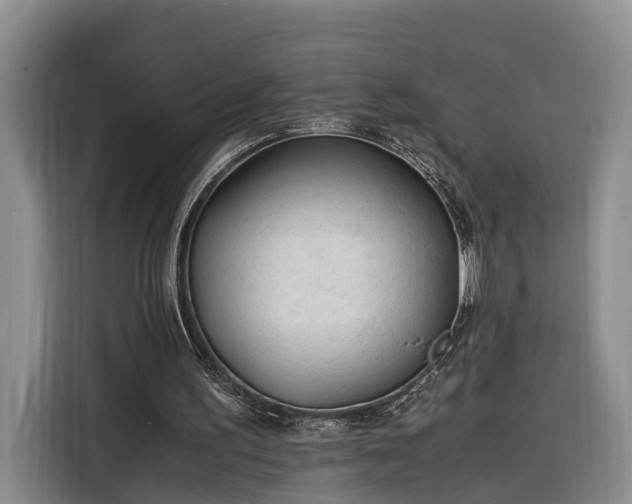 X0000116260195200912071029