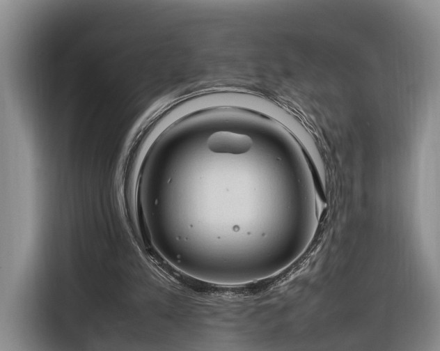 X0000116260197200912071029