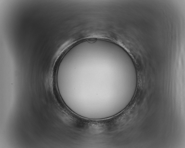 X0000116260199200912071029