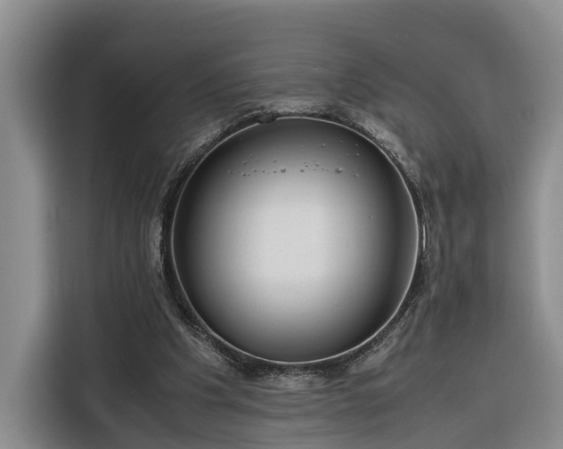 X0000116260201200912071029