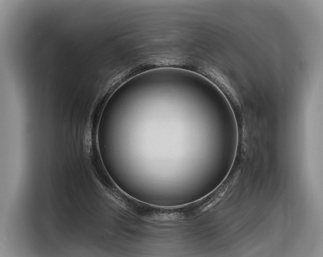 X0000116260202200912071029