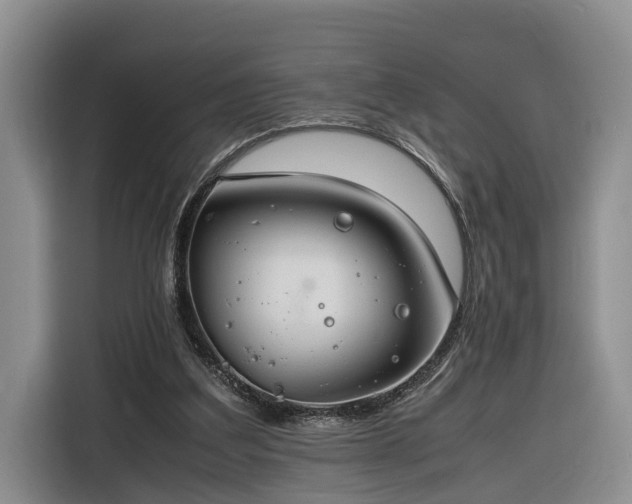 X0000116260203200912071029