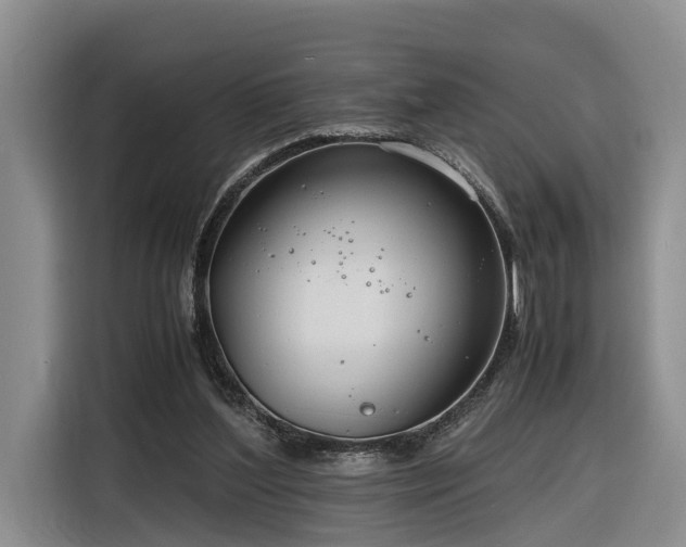 X0000116260204200912071029