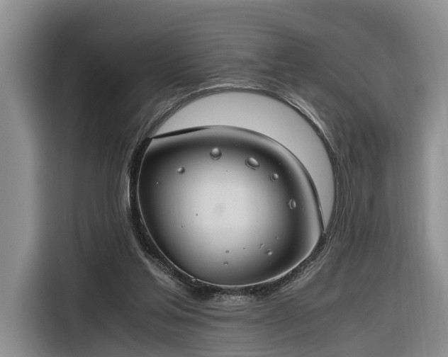 X0000116260205200912071029