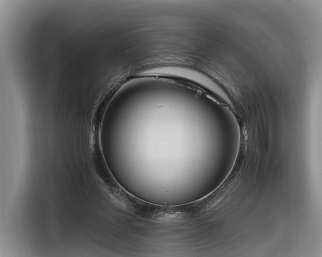 X0000116260206200912071029