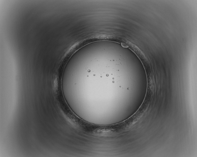 X0000116260208200912071029