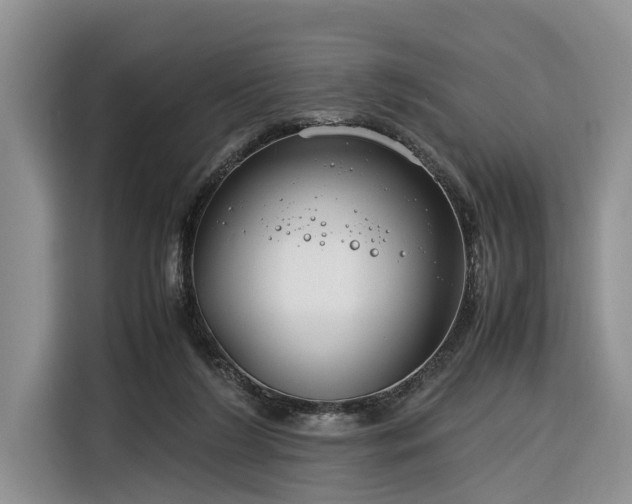 X0000116260212200912071029
