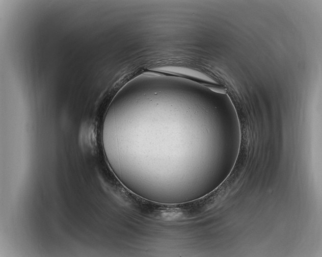 X0000116260214200912071029