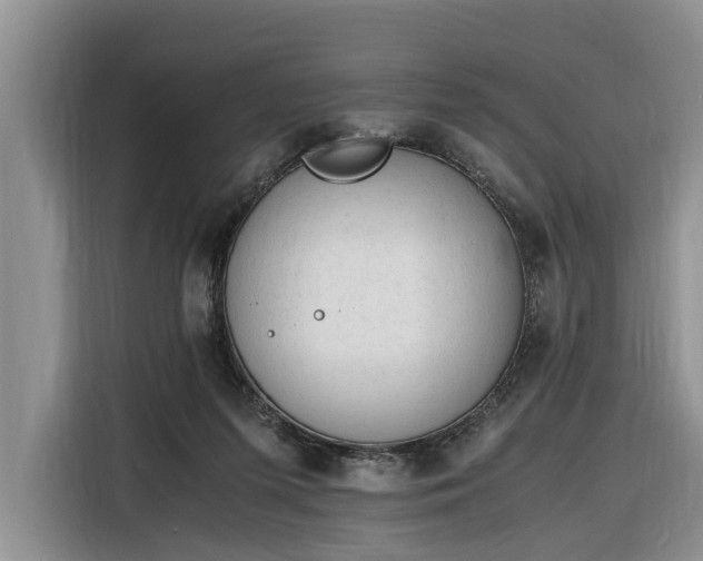 X0000116260215200912071029