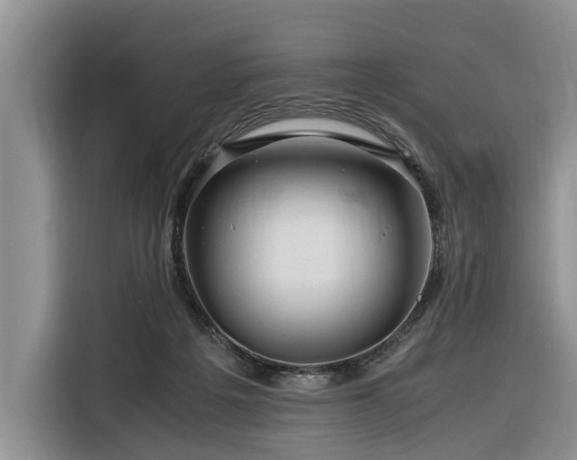 X0000116260217200912071029