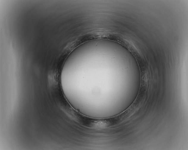 X0000116260218200912071029