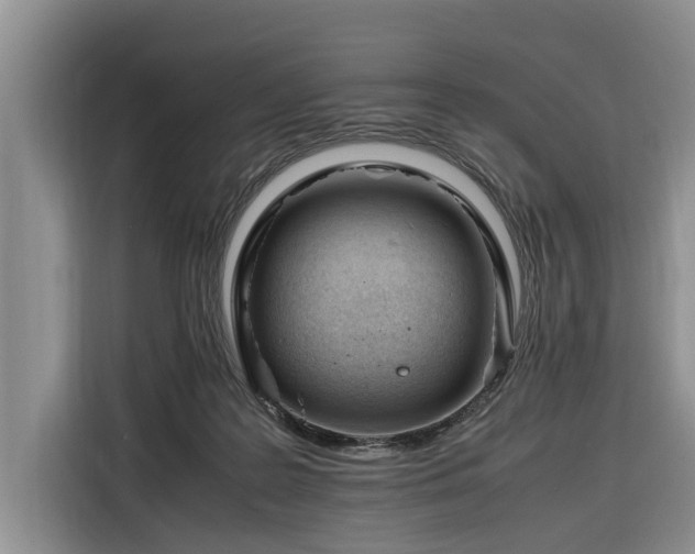 X0000116260219200912071029