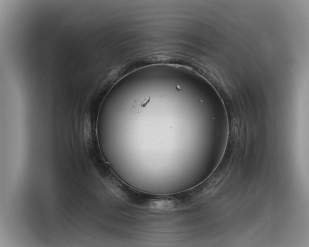 X0000116260220200912071029