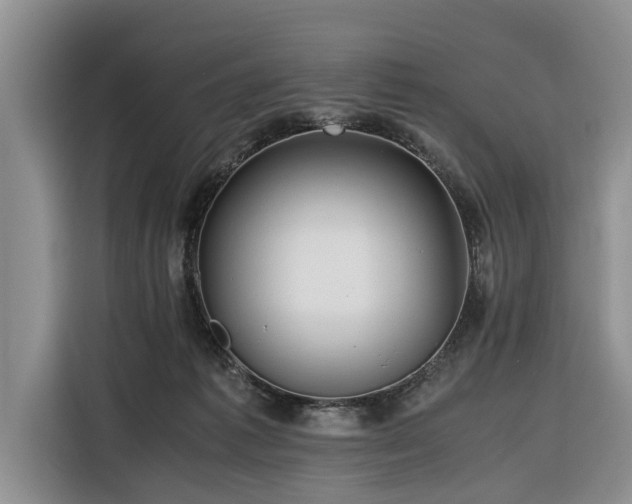 X0000116260221200912071029