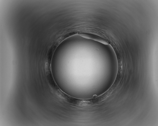 X0000116260222200912071029