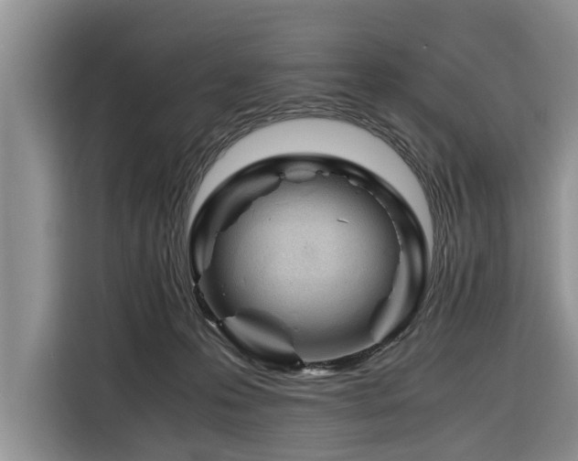 X0000116260223200912071029