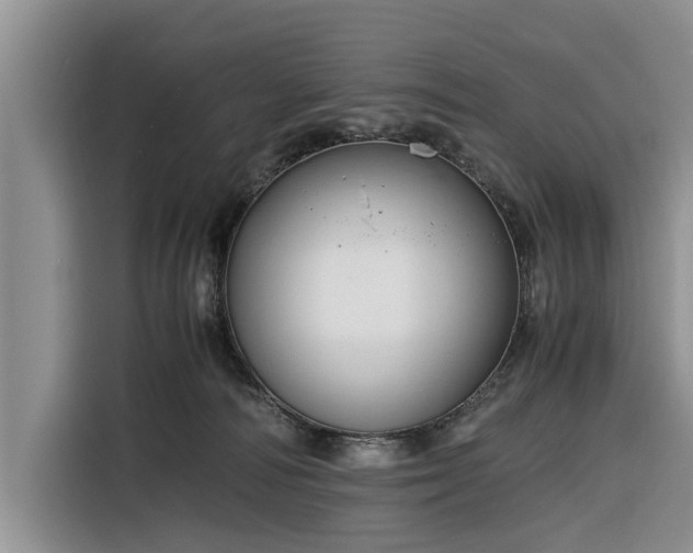 X0000116260226200912071029