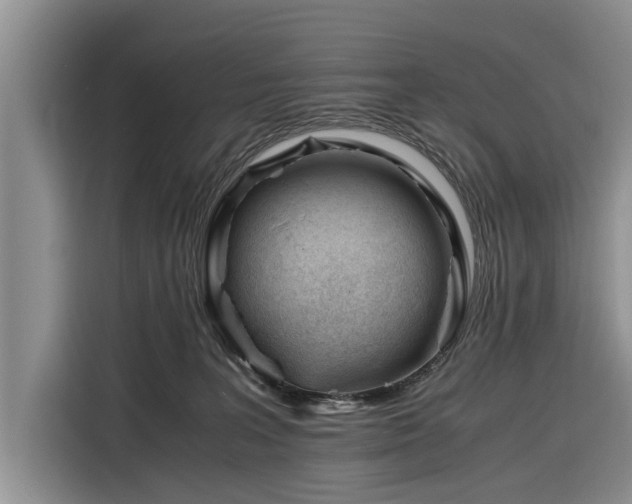 X0000116260227200912071029