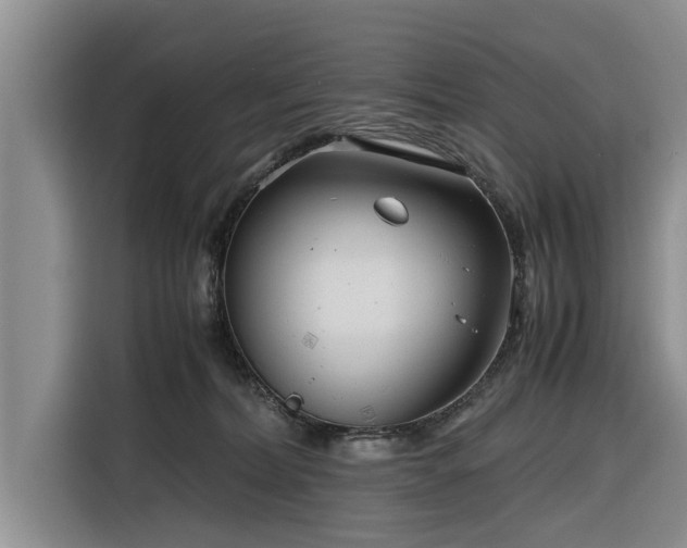 X0000116260228200912071029