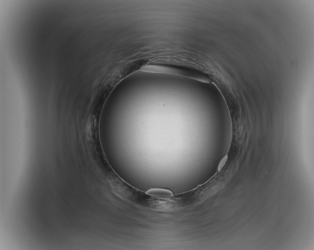 X0000116260229200912071029