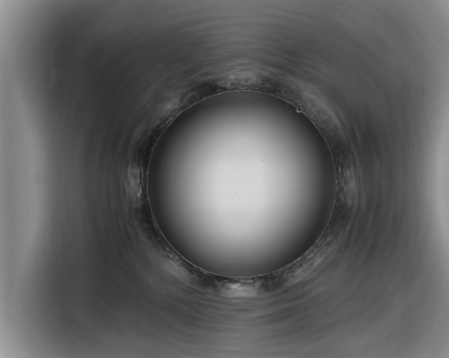 X0000116260232200912071028