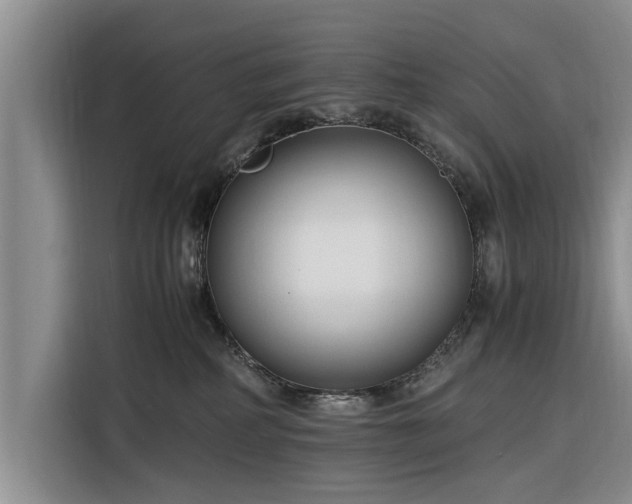 X0000116260234200912071028