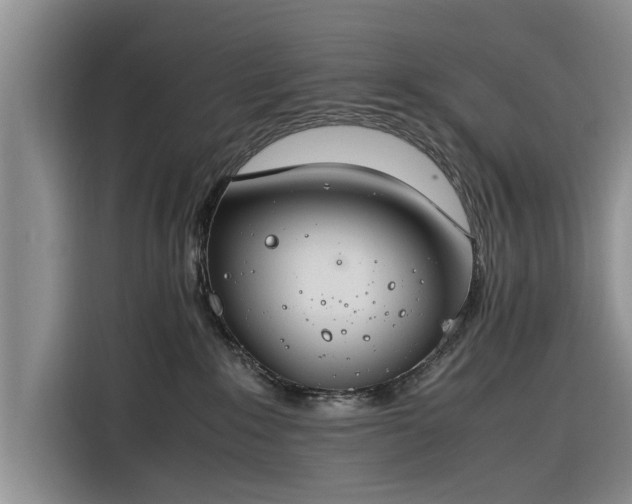 X0000116260235200912071028