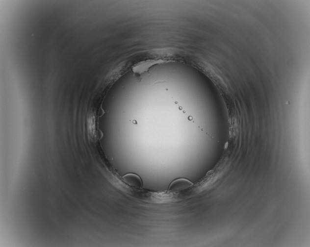 X0000116260238200912071028