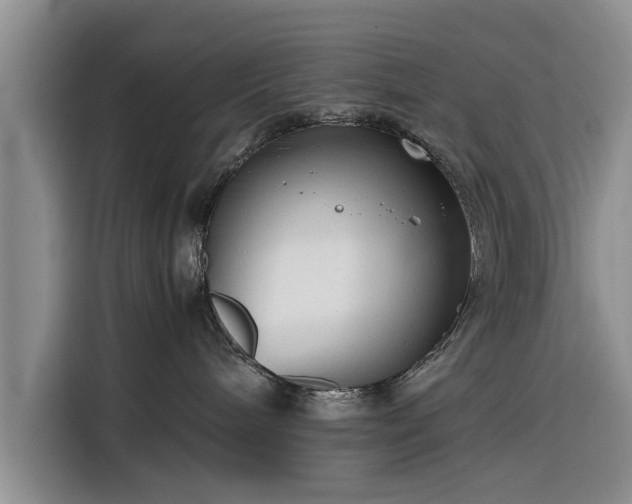 X0000116260240200912071028