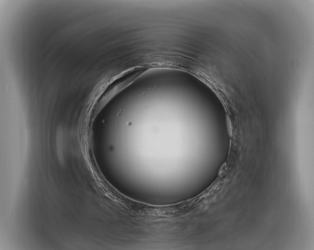 X0000116260241200912071028