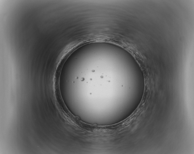 X0000116260242200912071028