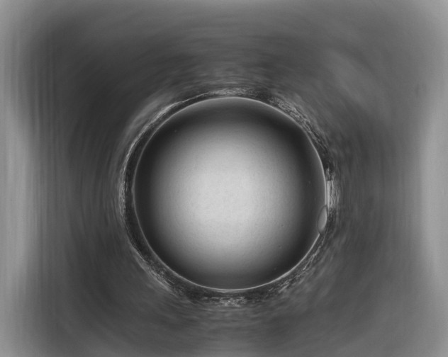 X0000116260243200912071028