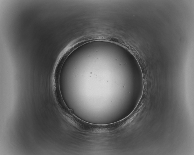 X0000116260246200912071028