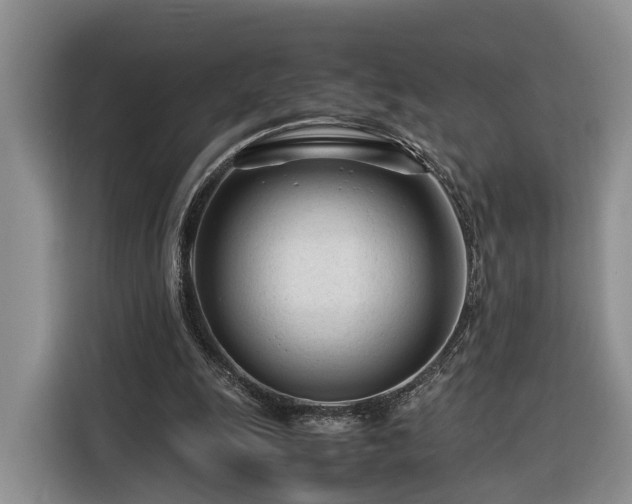X0000116260247200912071028