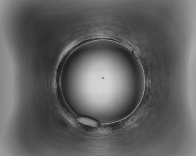 X0000116260248200912071028