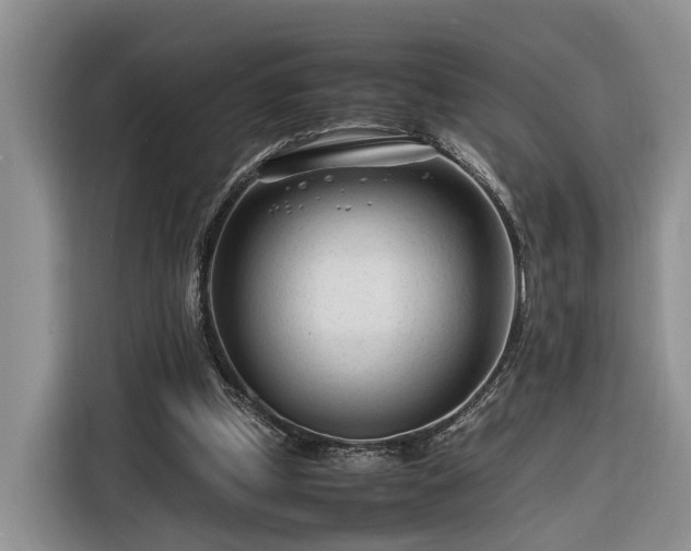 X0000116260249200912071028