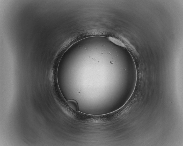 X0000116260250200912071028