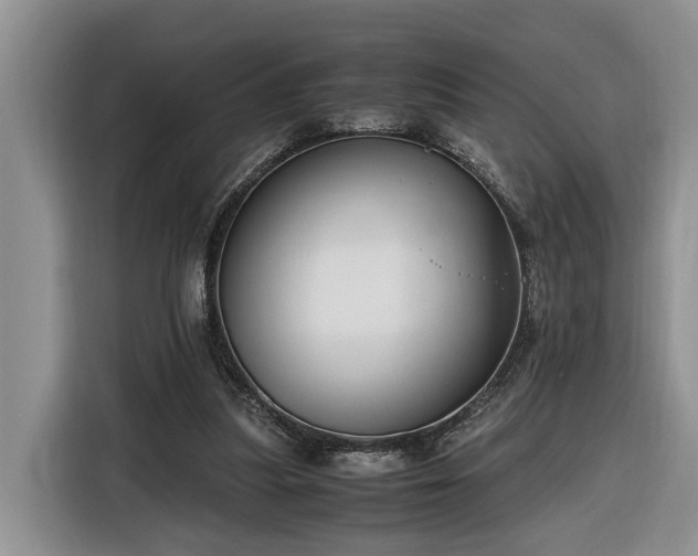 X0000116260251200912071028