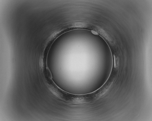 X0000116260252200912071028