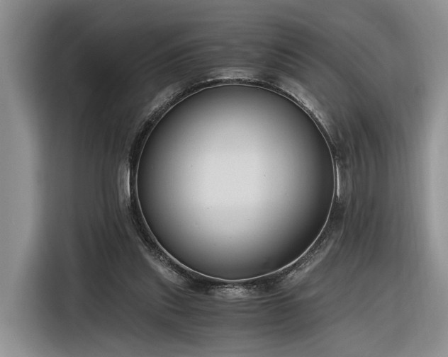 X0000116260253200912071028