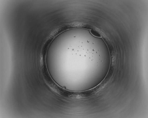 X0000116260254200912071028