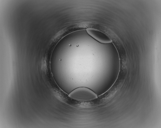 X0000116260256200912071028