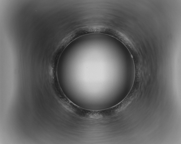 X0000116260258200912071028
