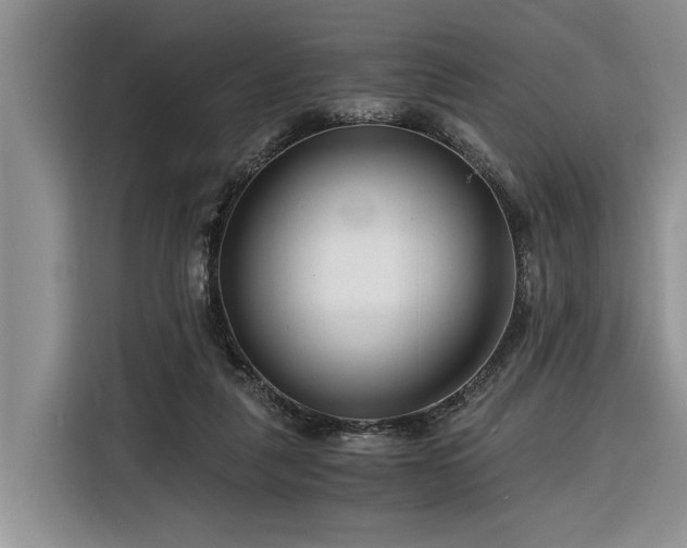 X0000116260259200912071028