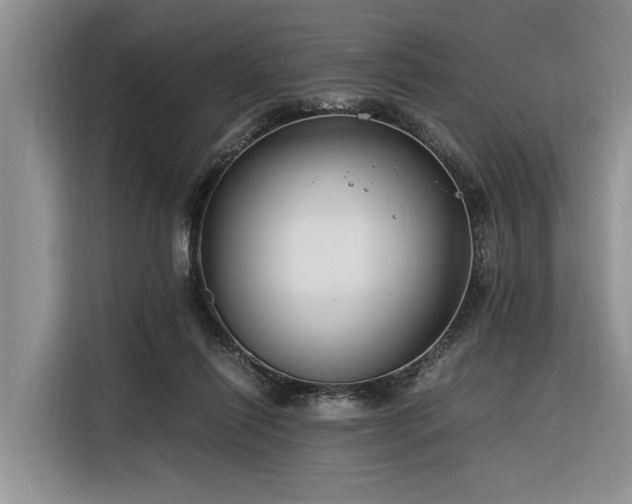 X0000116260262200912071028