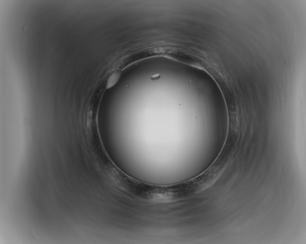X0000116260263200912071028