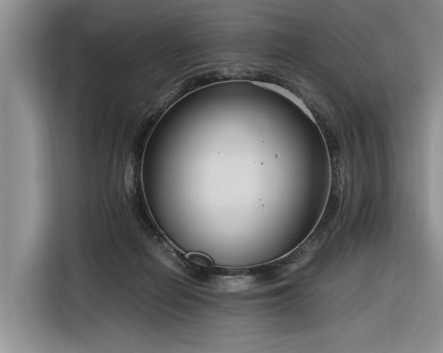 X0000116260266200912071028
