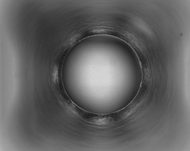 X0000116260267200912071028